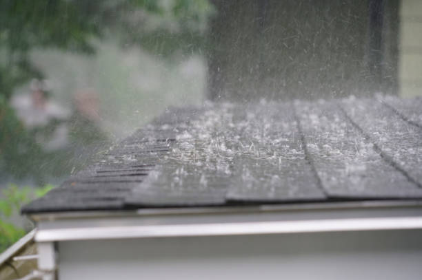 Best Gutter Installation and Repair  in Quinnesec, MI